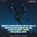 온자리 이미지