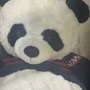 뱃살야옹 | [251009][허니로그] 오랜 영화처럼 다시 빛이 되어 남을 넌 나의 테니로그 | 96즈 52도 나들이