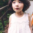 상상나무 이미지