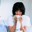 국화꽃향기 이미지