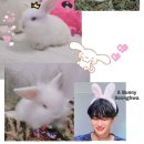 A cute bunny by roxy 🌸🐰💕 이미지