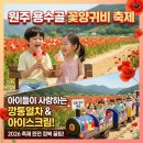 국가유공자경로당 | 2026 원주 용수골 꽃양귀비축제 후기｜입장료.초등학생 무료 깡통열차 주차 꿀팁 총정리