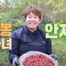 진안꾸지뽕나무 이미지