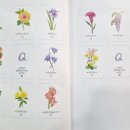 색연필로 쉽게 따라 그리는 꽃그림 이미지