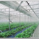 농축산농장 이미지