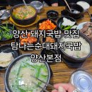웅상대로 | 양산 웅상 돼지국밥 맛집 탐나는순대돼지국밥 양산본점 순대돼지국밥 아이와식사 후기