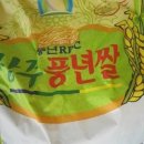 자인상회