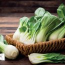 라렌느산후조리원 이미지