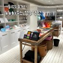 성수이로93 | 서울 성수 놀거리 '뉴뉴하우스 성수역점' 방문 후기 (일부 제품 가격 정보 포함)