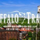 트레이스 이미지