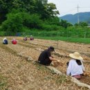 김천시문화예술회관 이미지