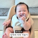 대신건재 | 치발기 사용시기 5개월 아기 앙파파 미피치발기 사용 후기