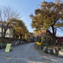 화수목 | 아름다운 정원&#34;화수목&#34;방문 후기 지금 가면?