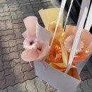[구월동 꽃집]클로리스 플라워 카페