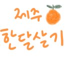 해넘이달렌탈하우스 이미지