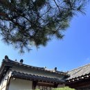 더스테이 쉼 | 경주 한옥 숙소 :: 황리단길 경주 쉼 한옥스테이 | 계림 방 후기