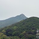 주식회사새하늘부동산중개법인 | 금정산성 빌라 매매