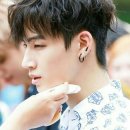 스왈로우 이미지