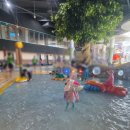 자락협재 이미지