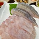 명품 세꼬시 물회 네이버블로그