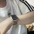 다이다이쏘 | 다이소 다이쏘 잇 템 애플워치 스트랩 시곗줄 갓성비 착용 후기 추천 템