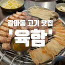 서구-01-101 | [숭연 리뷰] 대전 둔산동 갈마동 직접 구워주는 육즙 대폭발 고기맛집 육함 후기