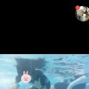 진양호캐리비안워터파크 이미지