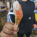 대진수산 - 고성군 성내로112번길 77 | 영덕 대진해수욕장 노지캠핑 후기 대구근교 바다 캠핑 추천