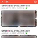 워킹페코 이미지