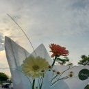 당케플라워