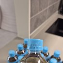 보리청정유통 | 물 대신 마시는 깔끔한 보리차 추천, 쟈뎅 제주의 봄 청보리차 500ml 솔직 후기