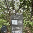 동남로 | 도심에서 즐기는 서울 트레일러닝, 강동 일자산 코스 후기