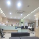 느티나무내과의원 이미지