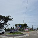 궁평항 수산물직판장 회센터 갈매기호 솔직후기! 광어 1kg 가격부터 해산물한상까지 총 가격은?