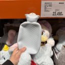 순수세탁 | 🐻‍❄️ 코스트코 디즈니 보온 물 주머니 인형 – 랏쏘 구매 후기 딸기향 세탁후에도?