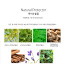 주니헤어 이미지