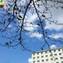 호원대학교 다산관, 연암관 이미지