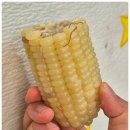 GS25 아산스타점 이미지