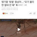 뎅기열 '창궐' 동남아…"모기 물리면 절대 안 돼" 이미지