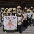 "1300여명 몰린 뜨거운 열기"... 부산 내원정사서 청춘남녀 인연 맺기 ‘솔로극락’ 성황 이미지