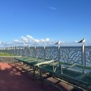 간월도2길 | 서산 간월도 횟집: 밀양(전어세트, 마지막 방문)