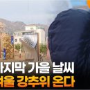 심술 티스토리