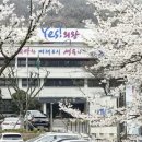 (주)세스코