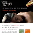 [와이스파][용카/피부관리] - 용카 미니어처키트 당첨자(아이디)발표!!!