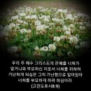 샬롬 이미지
