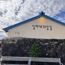 심바네의상실 | [ 남원읍 ] 애견 소품샵 ‘심바네의상실’ 방문 후기. 심바와 티몬을 만나다.