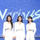 베리어스(various) 이미지