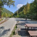 장태산자연휴양림 캠핑장 이미지