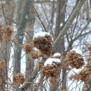 함평자연생태공원 이미지