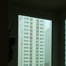 모솜인테리어 이미지